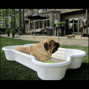 dogpools.shop One Dog One Bone  White  Bone Pool