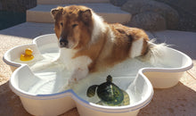 dogpools.shop One Dog One Bone  White  Paw Pool